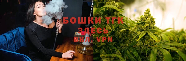 индика Вязники